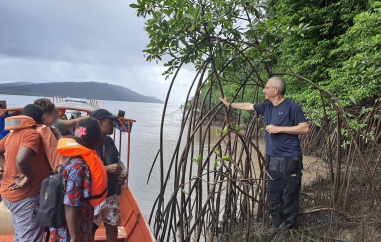 Mangrove Oyapock 2026