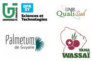 Logos Palmiers 2026